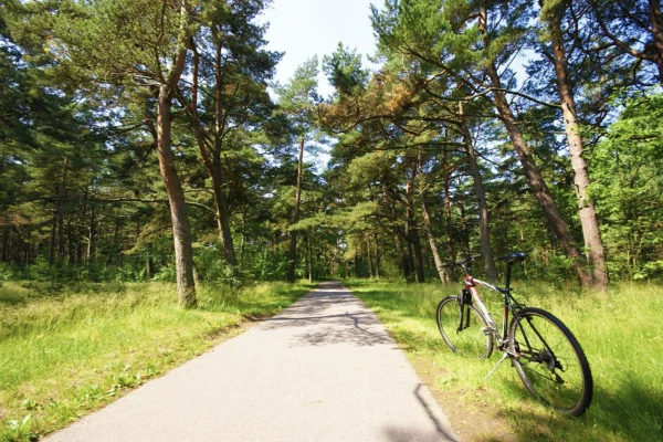 Ką veikti Palangoje dviračių takai Palangoje