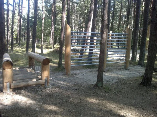 Ką veikti Palangoje bėgimo takas labrytis pušynas Palangoje