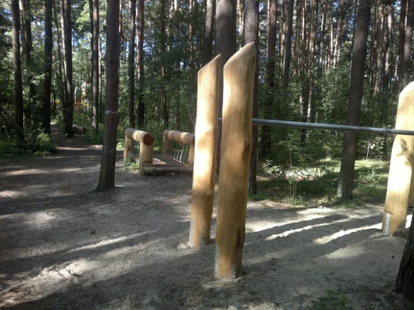 Ką veikti Palangoje bėgimo takas labrytis pušynas Palangoje