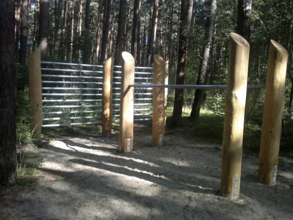 Ką veikti Palangoje bėgimo takas labrytis pušynas Palangoje
