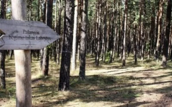 Ką veikti Palangoje bėgimo takas labrytis pušynas Palangoje