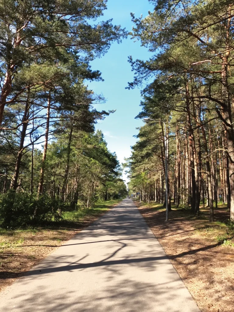 Dviračių nuoma Palangoje dviračių maršrutai šventosios molas poilsis Palangoje
