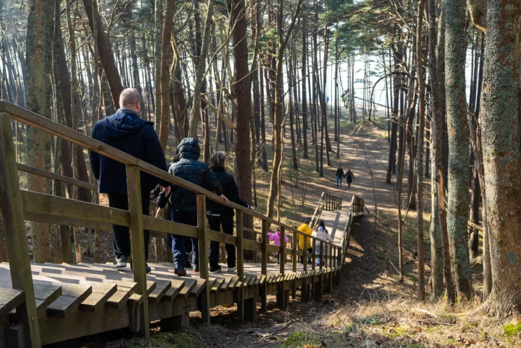 Olando kepurė Litorinos takas Ką veikti Palangoje Lankytinos vietos objektai