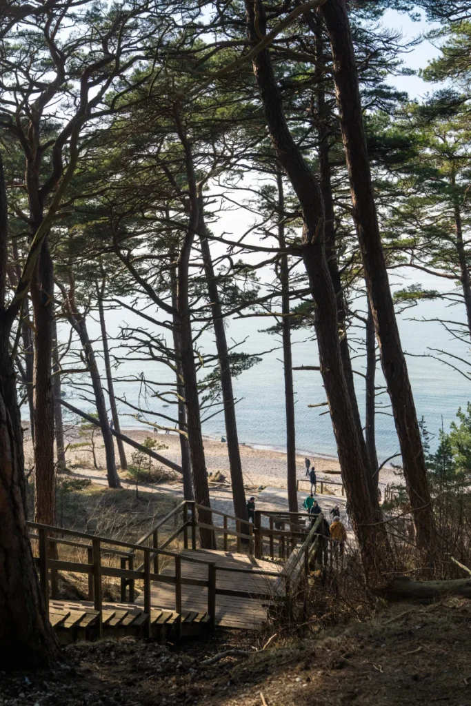 Olando kepurė Litorinos takas Ką veikti Palangoje Lankytinos vietos objektai