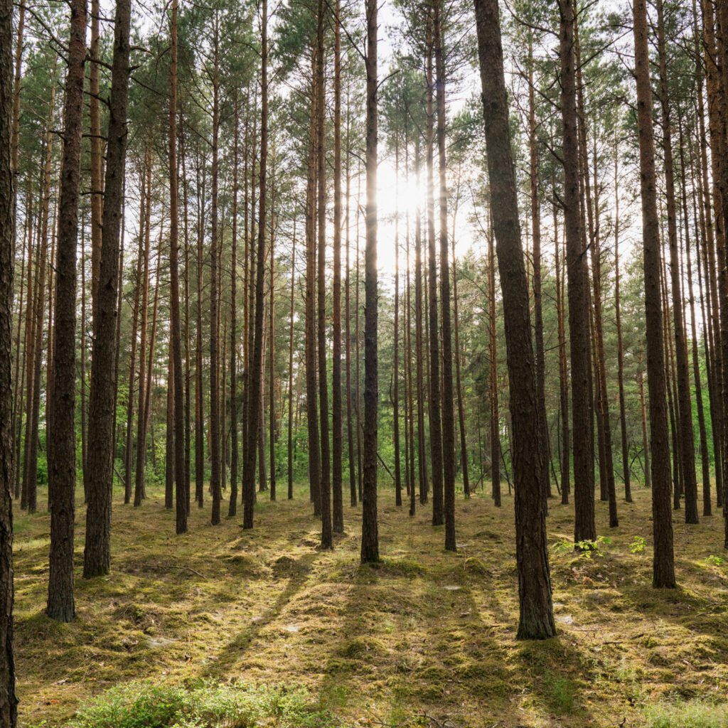 Šeima atostogauja Palangoje savaitgalį